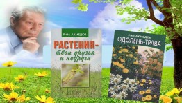 Тематическая встреча «Слово о Риме Ахмедове»