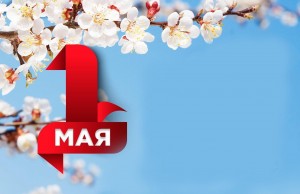 Концертная программа«Весенняя капель»