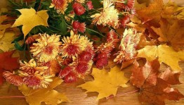 Праздничный вечер ко дню пожилых людей «Пусть осень жизни будет золотой!»