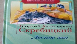 «Лесное эхо »Чтение литературы