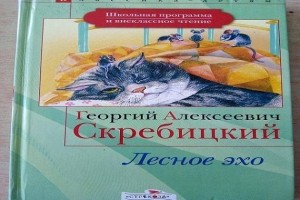 «Лесное эхо »Чтение литературы
