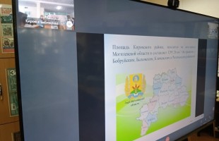 Библиотеки Башкортостана и Беларуси соединил телемост