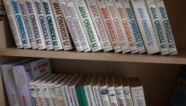 День информации «Давай откроем словари»