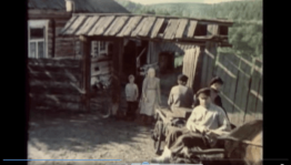 Викторина«Где каждый день кино...»