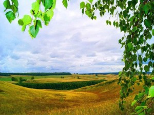 Краеведческая викторина «Родина земля дает вдохновение»