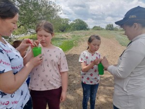 Экологическая викторина «Лесные защитники»