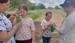 Экологическая викторина «Лесные защитники»