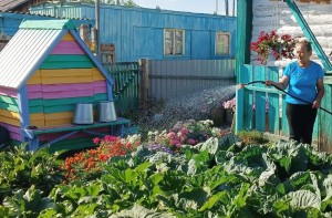 Конкурс «Лучший цветущий сад»