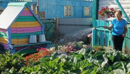 Конкурс «Лучший цветущий сад»