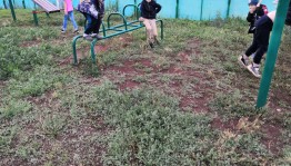 Спортивная программа «В здоровом теле – здоровый дух»