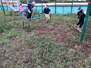 Спортивная программа «В здоровом теле – здоровый дух»