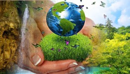 Экологический час «Храните чудо из чудес–лес,озера,синь небес»