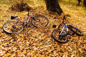 Велокросс «Вперед к победе!»