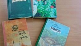 Фитовечер «Аптека под рукой»