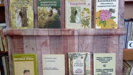 Книжная выставка «Башкортостан – медовый край»