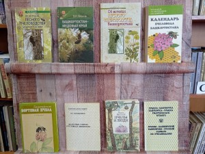 Книжная выставка «Башкортостан – медовый край»