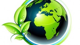 Квест «Экологический дозор»