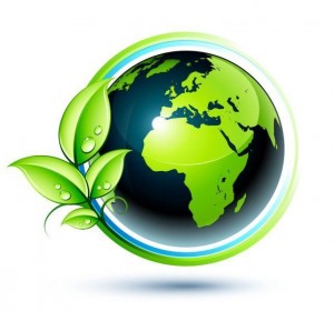 Квест «Экологический дозор»