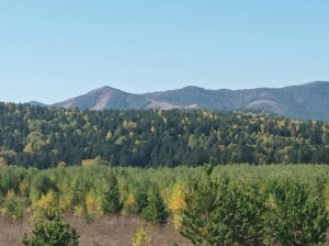 Конкурс чтецов«Родной Башкортостан»