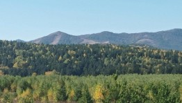 Конкурс чтецов«Родной Башкортостан»