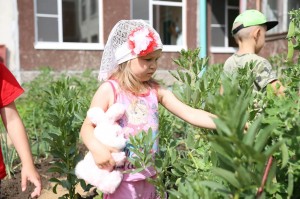 Развлекательно-игровая программа «Во саду ли в огроде»