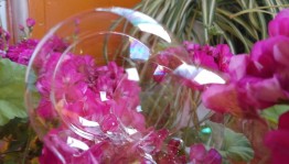 «День мыльного пузыря »