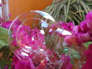 «День мыльного пузыря »