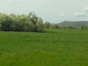 Онлайн фотовыставка «С любовью к природе»