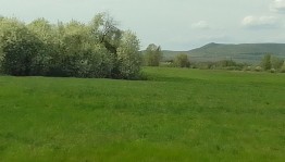 Онлайн фотовыставка «С любовью к природе»