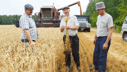 Праздничный концерт «Хлеб - всему голова»