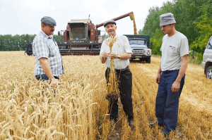 Праздничный концерт «Хлеб - всему голова»