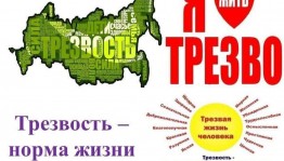 «Твой выбор»