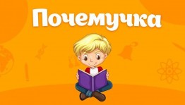 Познавательно – игровая программа «Почемучка?»
