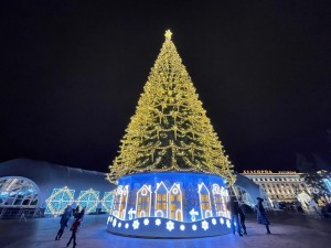 Открытие центральной елки «Тирлян встречает Новый год»