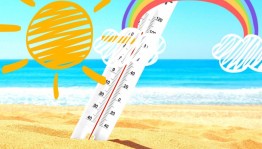 Урок безопасности «Осторожно: лето!»