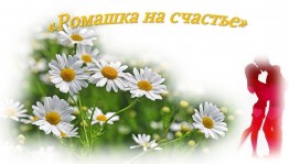 Развлекательная программа Ромашка на счастье.