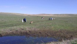 Экологическая программа «По лесной тропе родного края»