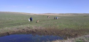 Экологическая программа «По лесной тропе родного края»