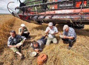 День трудяги