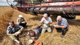 День трудяги