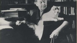 «Поэзия как лучик»
