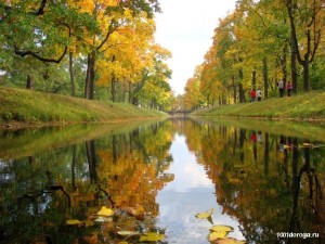 «Осень пора золотая»