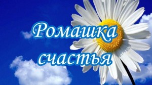 Акция«Ромашка счастья»