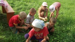 Игровая программа «На поляне»