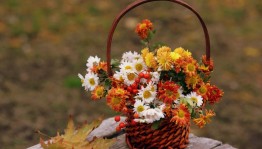 «День учителя»