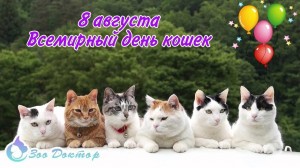 Выставка – знакомство «Знаменитые коты в литературе»