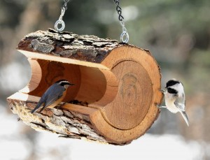 Экологическая акция «Кормушка для птиц »