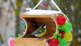 Мастер–класс «Кормушка для птиц»