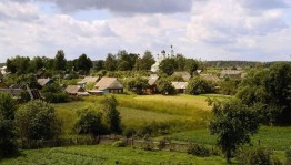 Встреча «Мое село–Мишкино»