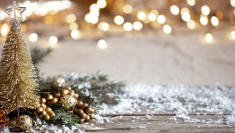 Мастер-класс «Новогодняя елочная игрушка»